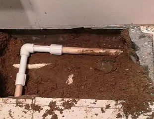 张掖市测漏水哪家好