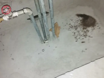 张掖市卫生间测漏水价格明细